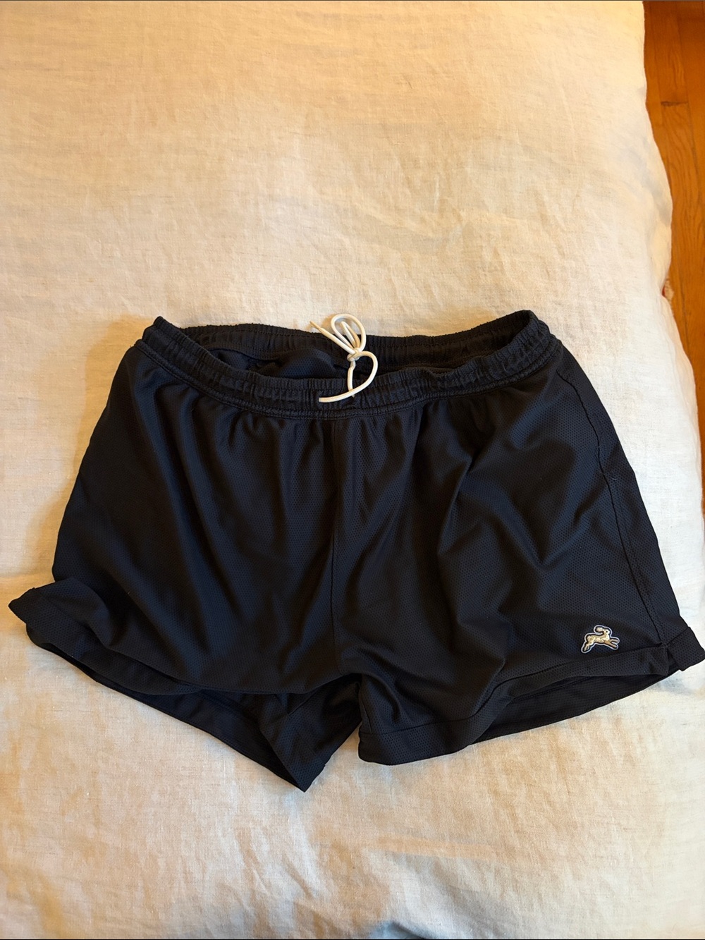 Tracksmith Van Cortland Grand Shorts